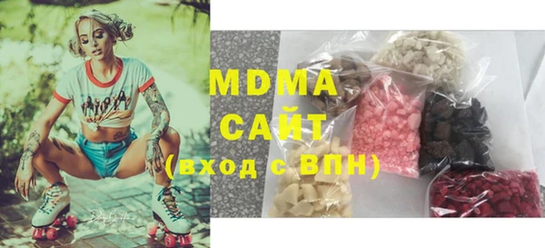 индика Снежногорск