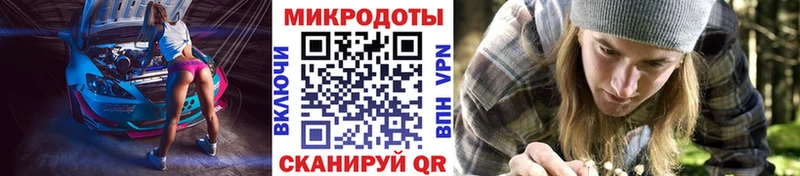 Псилоцибиновые грибы Psilocybe Калининград